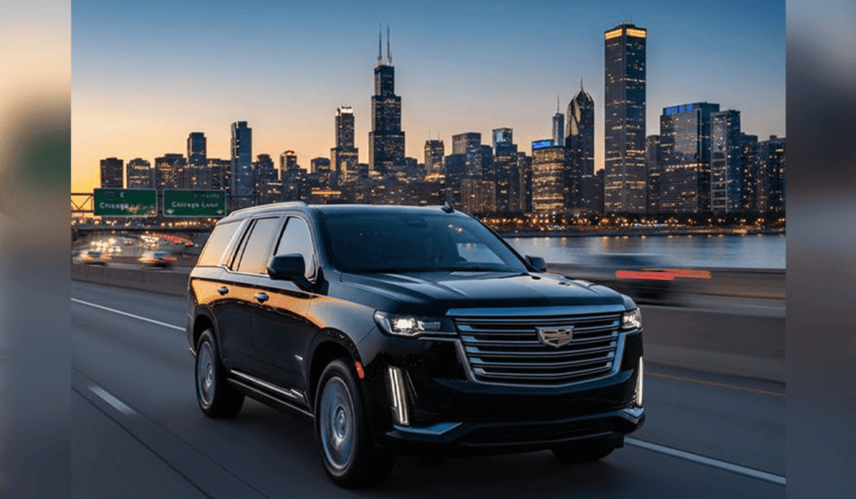 CITY TOUR CHAUFFEUR